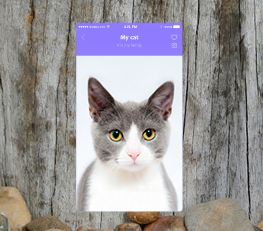 私家智能定制APP