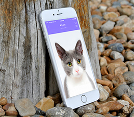 私家智能定制APP