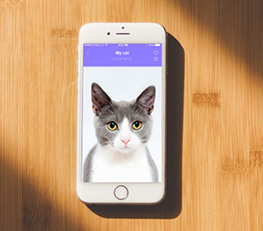 私家智能定制APP